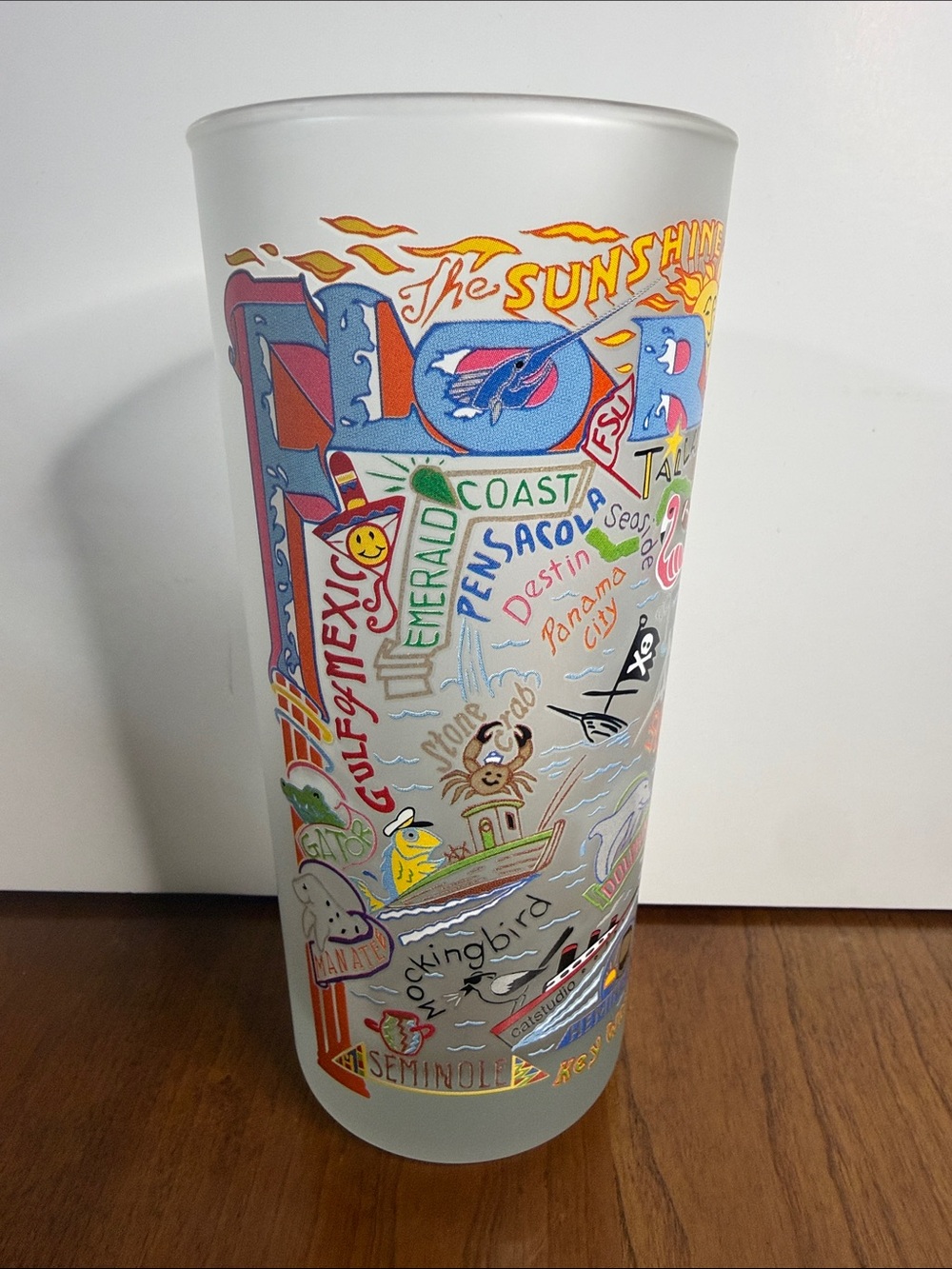 Catstudio Colorful Florida State Souvenir Frosted Glass Tumbler